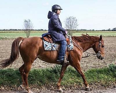 HKM Heizmantel