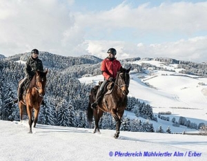 Pferdereich_2_-300x233