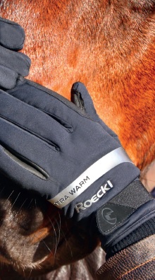 Roeckl-Wynne Roeckl-Wynne