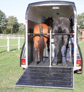 Pferdeanhaengertest-Boeckmann-Big-Champion-32-275x300 Pferdeanhaengertest-Boeckmann-Big-Champion-32-275x300