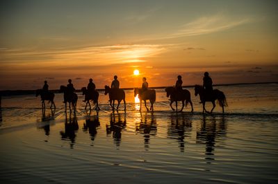 1.-sonnenuntergangs-ausritt-daenemark 1.-sonnenuntergangs-ausritt-daenemark