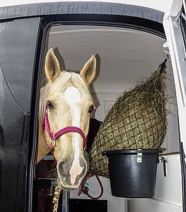 3b_Pferdetransport-Start-in-die-Saison-Futtereimer-und-Heunetz-im-Anhaenger