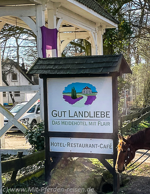 Suedheide-und-Hotel-Landliebe-w-12