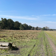 Suedheide-und-Hotel-Landliebe-w2-5-180x180