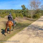 Suedheide-und-Hotel-Landliebe-w2-6-180x180