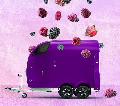 Boeckmann-Comfort-frozenberry Boeckmann-Comfort-frozenberry