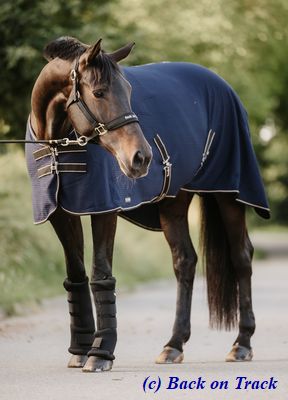 Back-on-Track-Decke-Cooler