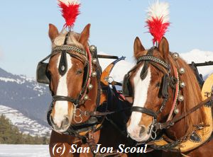 San-Jon-Winterschlitten