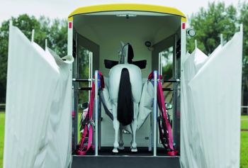 Boeckmann_Ambulanz_stehendesPferd